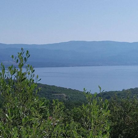 Apartmani Danica Risika Buitenkant foto